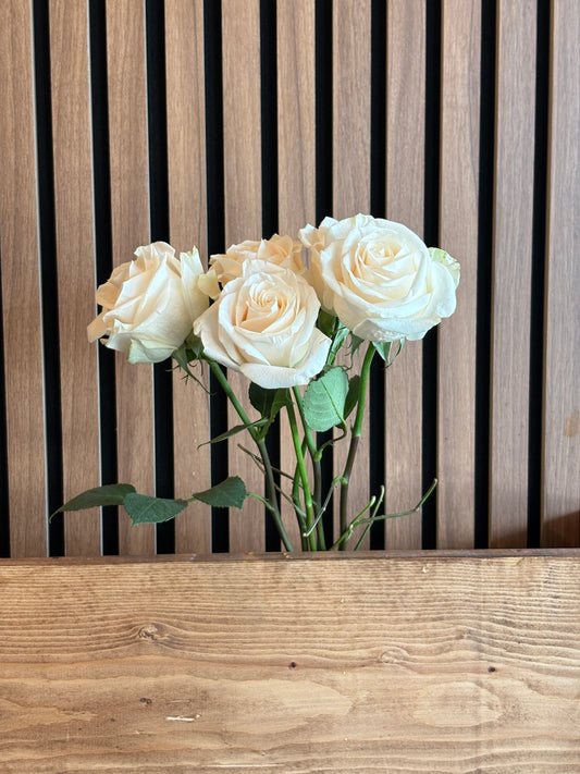 Red roses