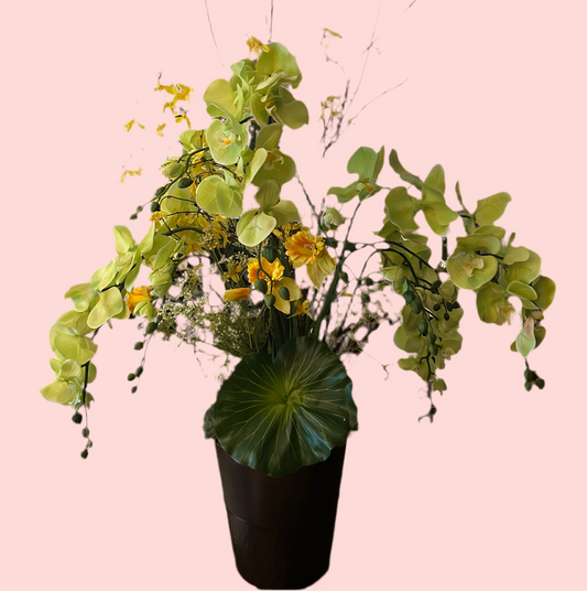 Green & Yellow Orchid Elegance Arrangement