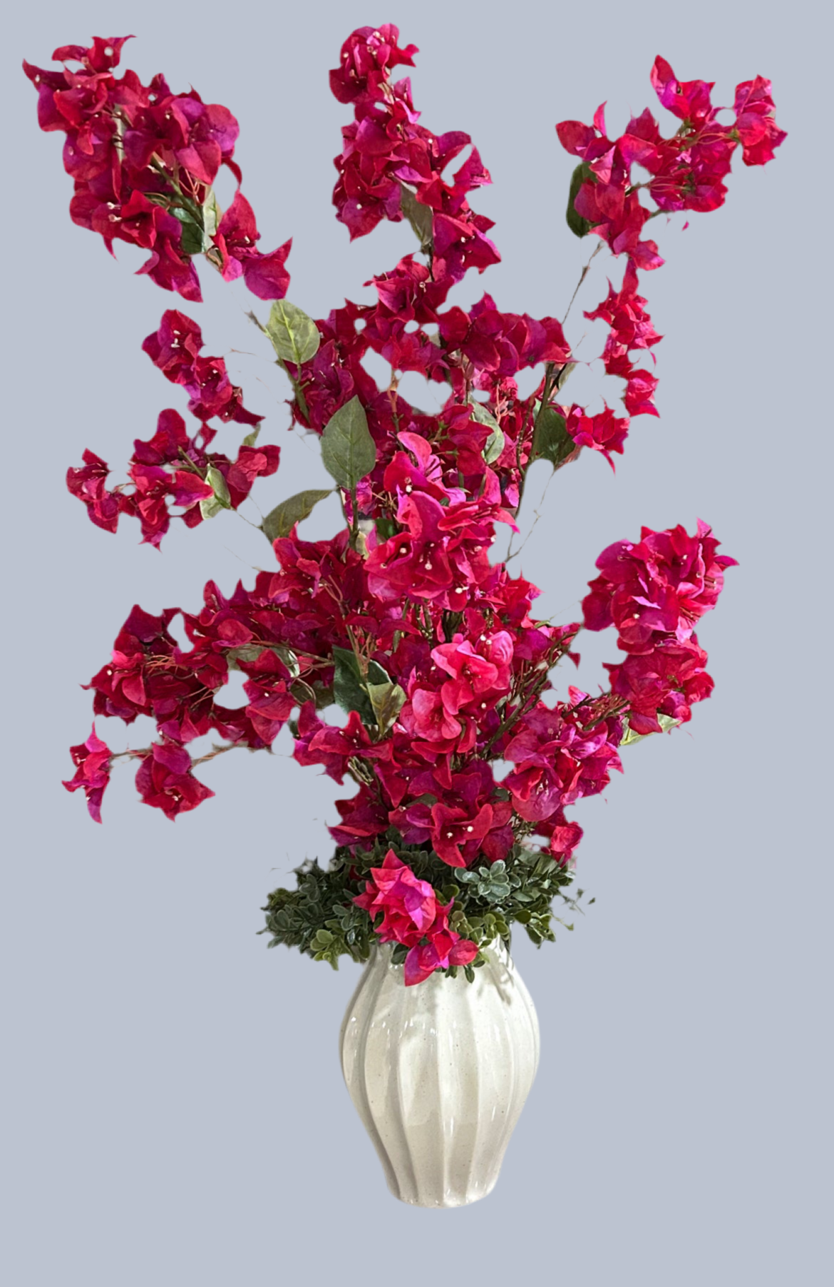 Vibrant Hot Pink Bougainvillea in Ceramic Vase