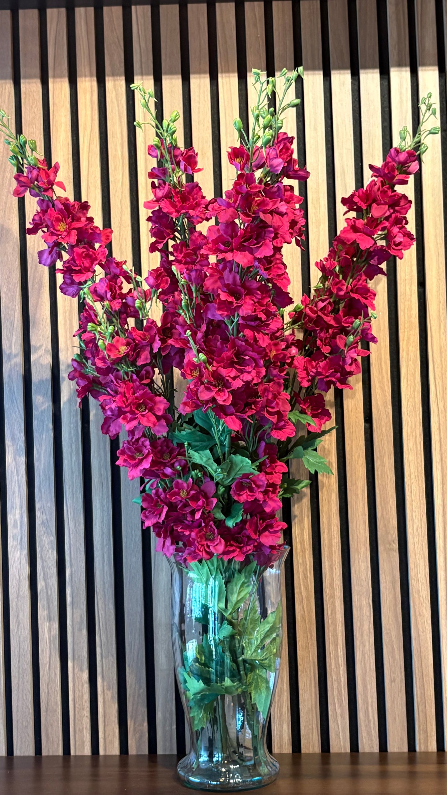 Delphinium hot  pink