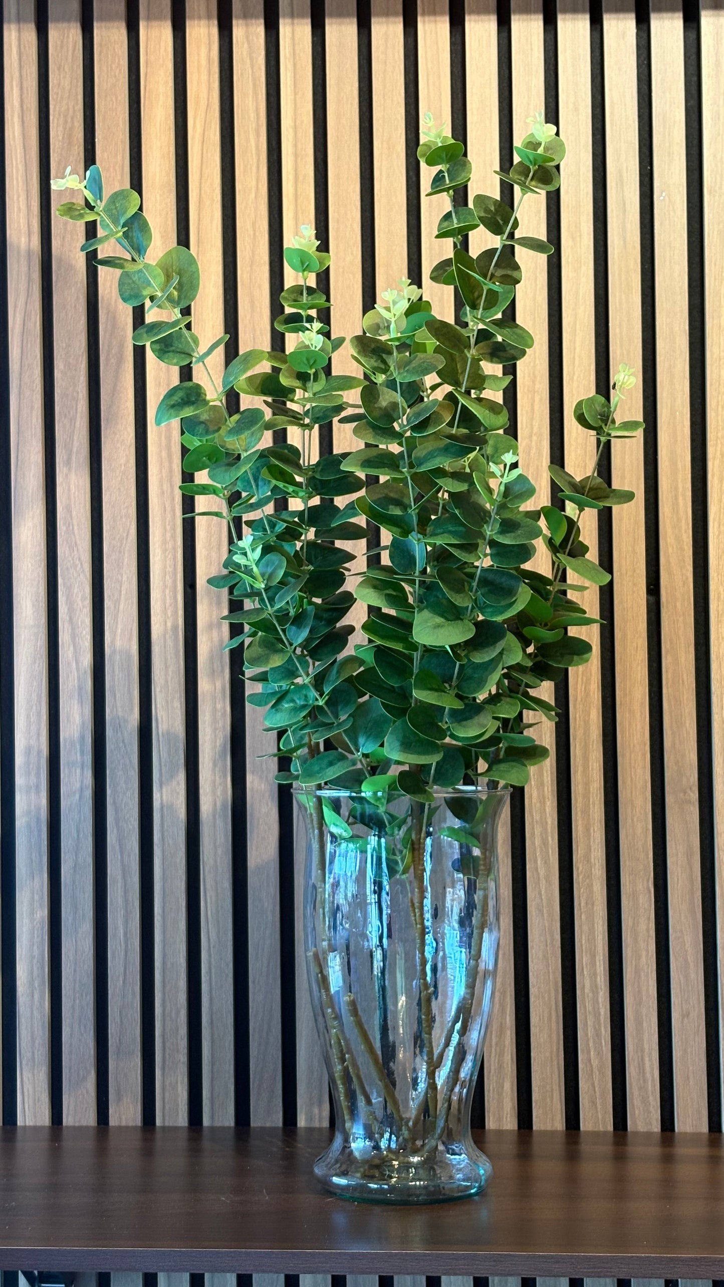 Eucalyptus green