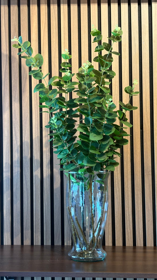Eucalyptus green