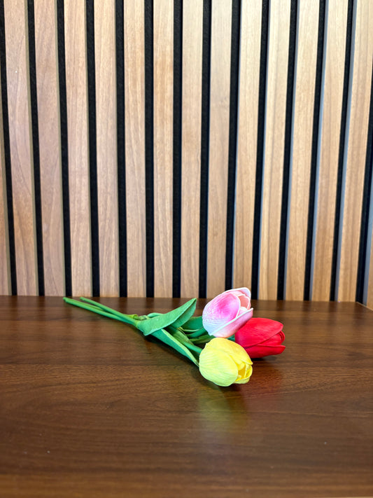 Tulips, natural touch