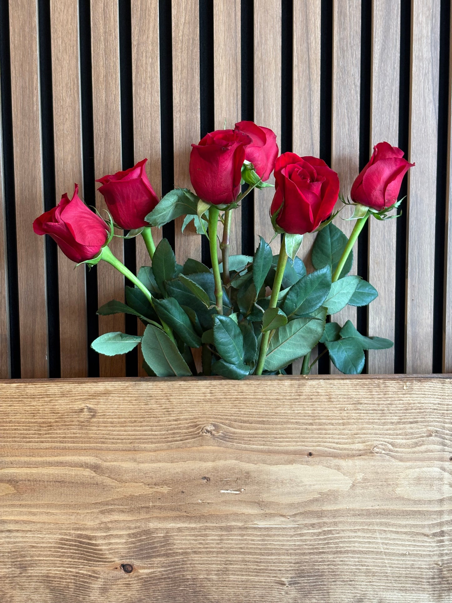 Red roses
