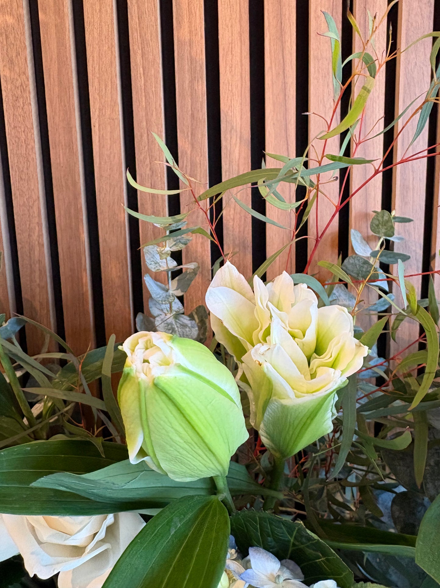 White Casa Blanca French Cut Flowers