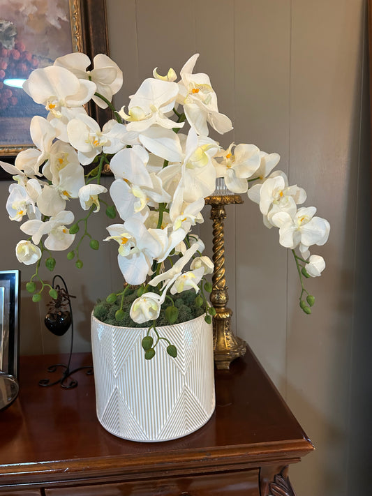 South Texas Flower Company, featuring white orchids in a white ceramic vase